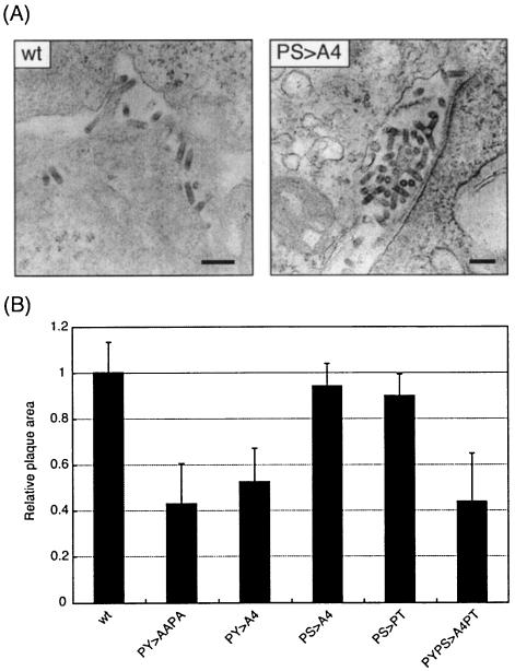 FIG. 4.