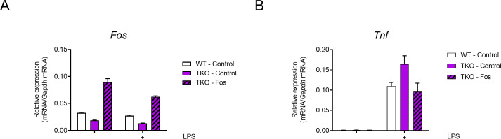 Figure 5—figure supplement 4.