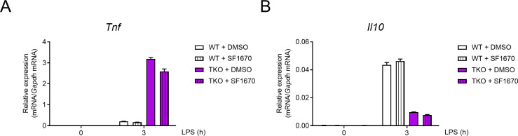 Figure 5—figure supplement 1.