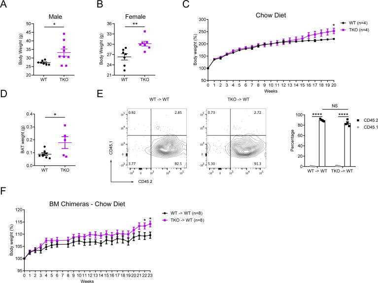 Figure 1—figure supplement 3.