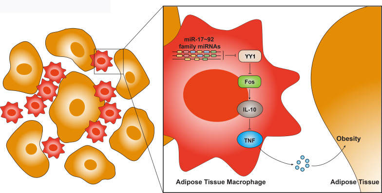 Figure 6—figure supplement 3.