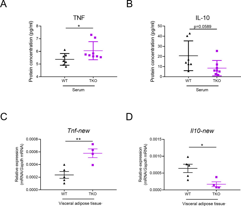 Figure 2—figure supplement 1.