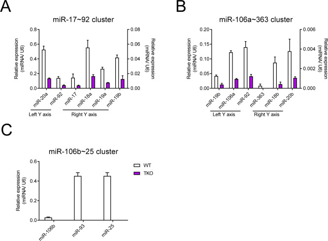 Figure 1—figure supplement 2.