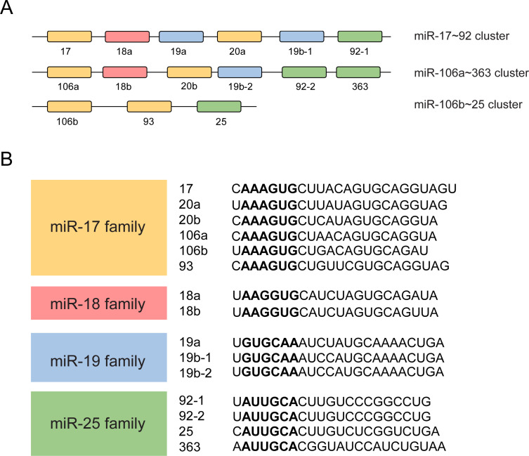 Figure 1—figure supplement 1.