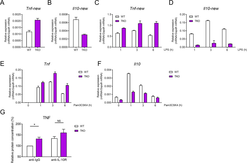 Figure 3—figure supplement 1.