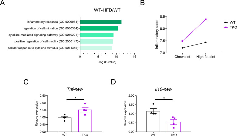 Figure 2—figure supplement 4.