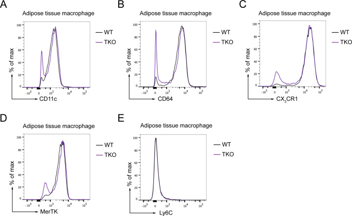 Figure 2—figure supplement 3.