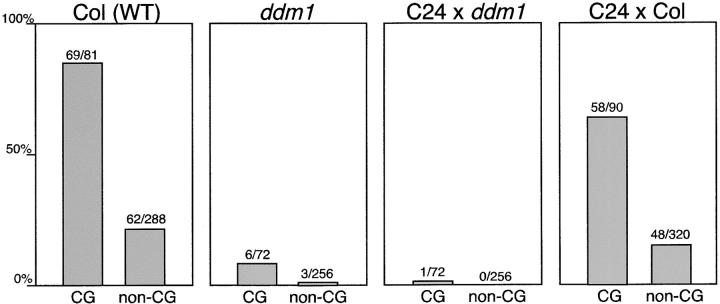 Figure 3.—