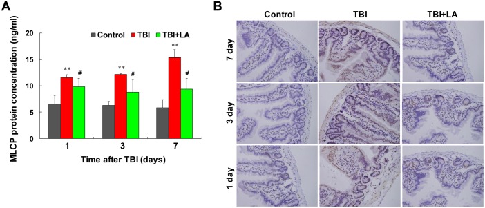 Fig 6