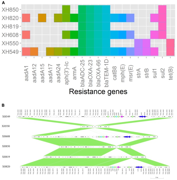 FIGURE 4