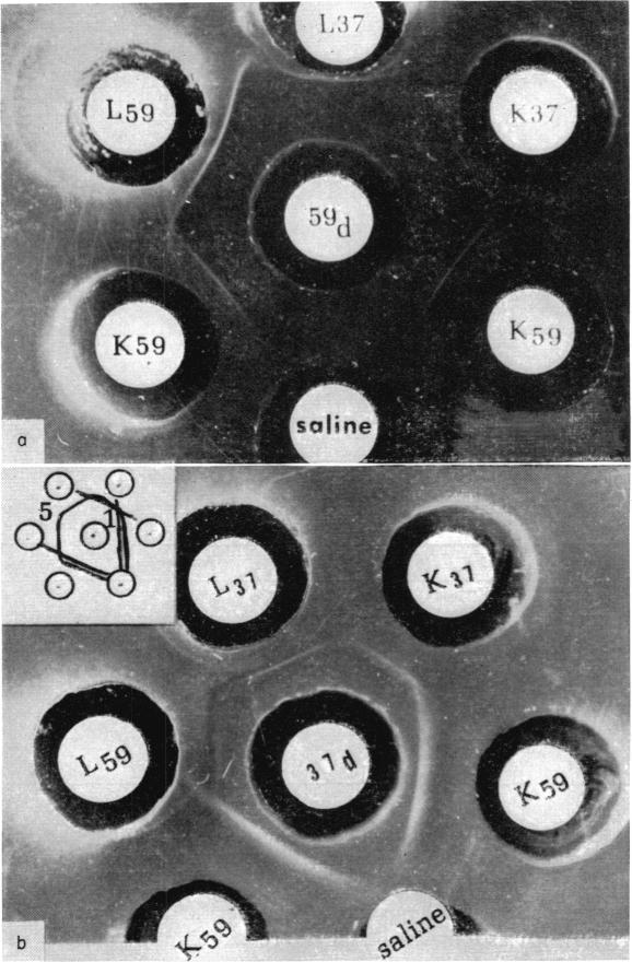 FIG. 5