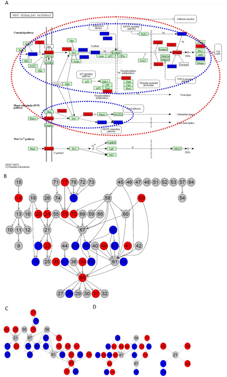 Fig 1