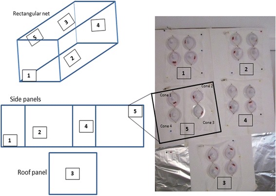 Fig. 2