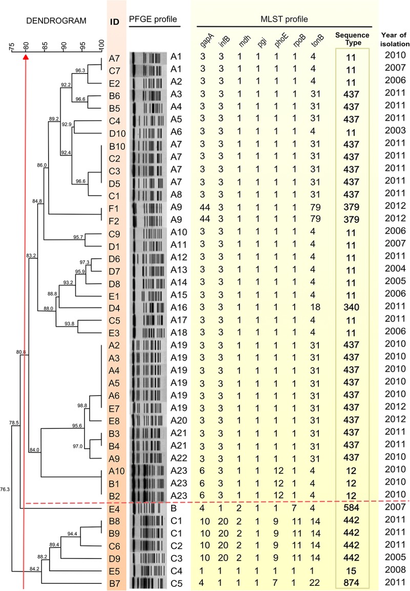 FIGURE 1