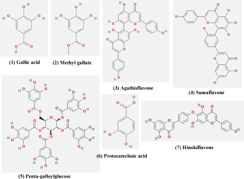 Figure 2