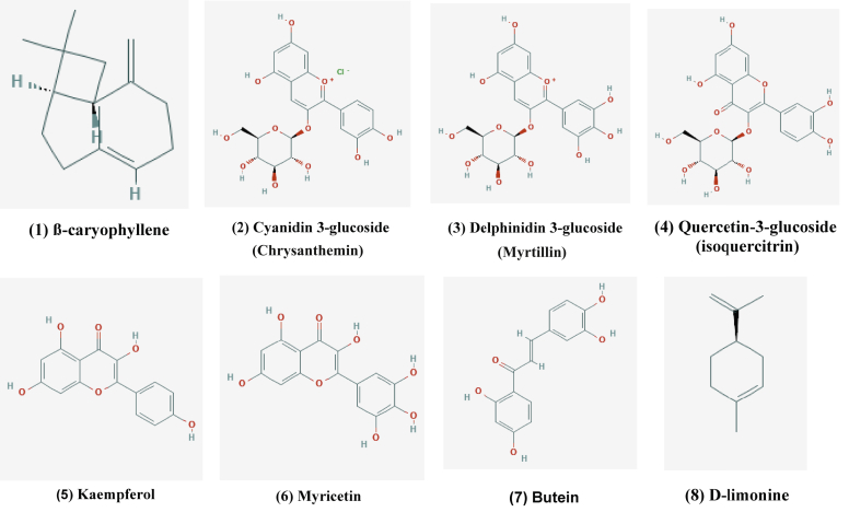 Figure 3