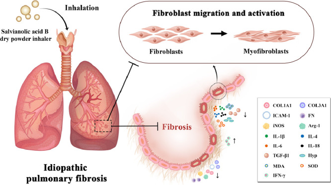 Image, graphical abstract