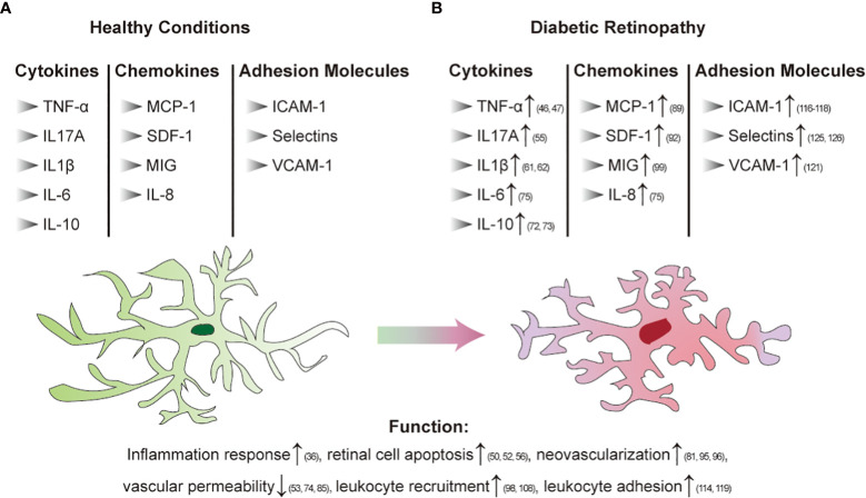 Figure 2