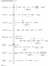 Fig. 10