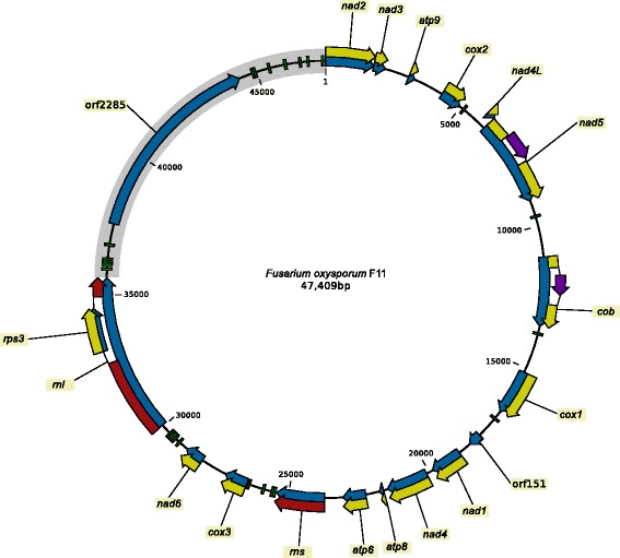 Fig. 3