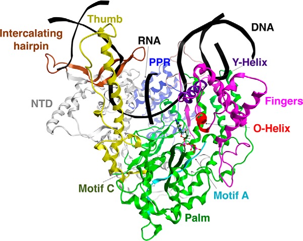 Figure 1.