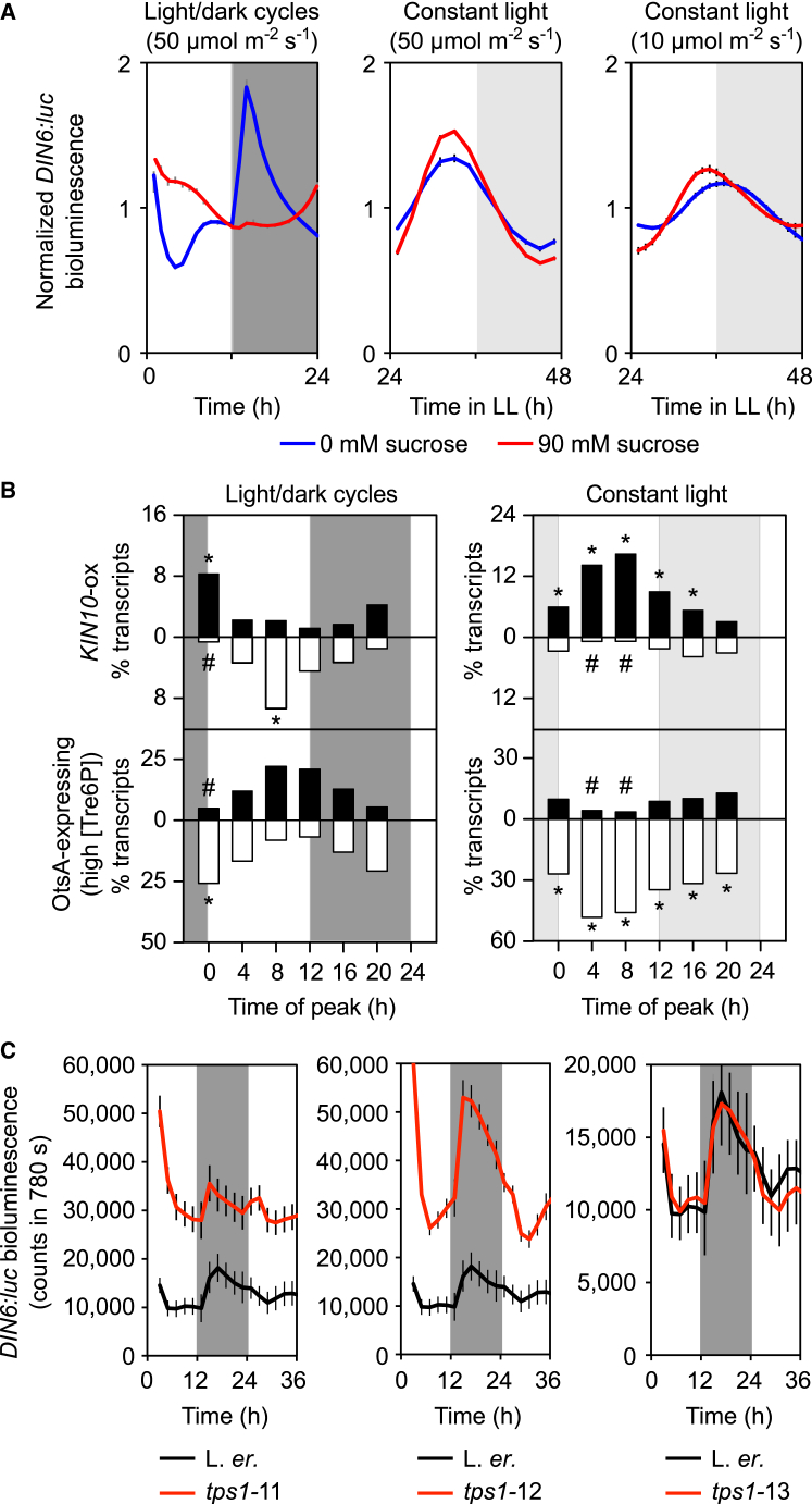 Figure 3