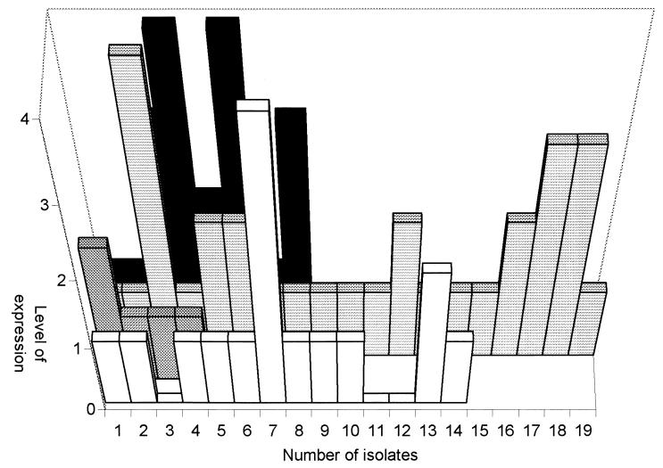 FIG. 2.