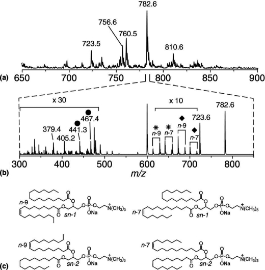 FIGURE 1.