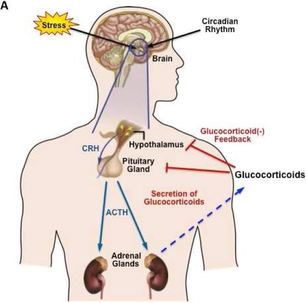 FIG 1