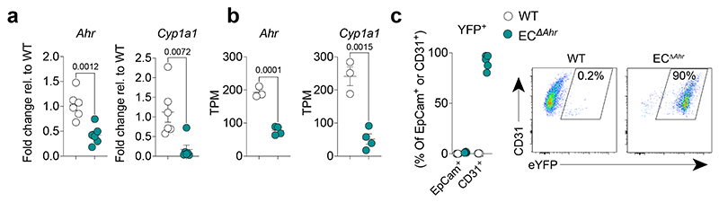 Extended Data Fig. 5