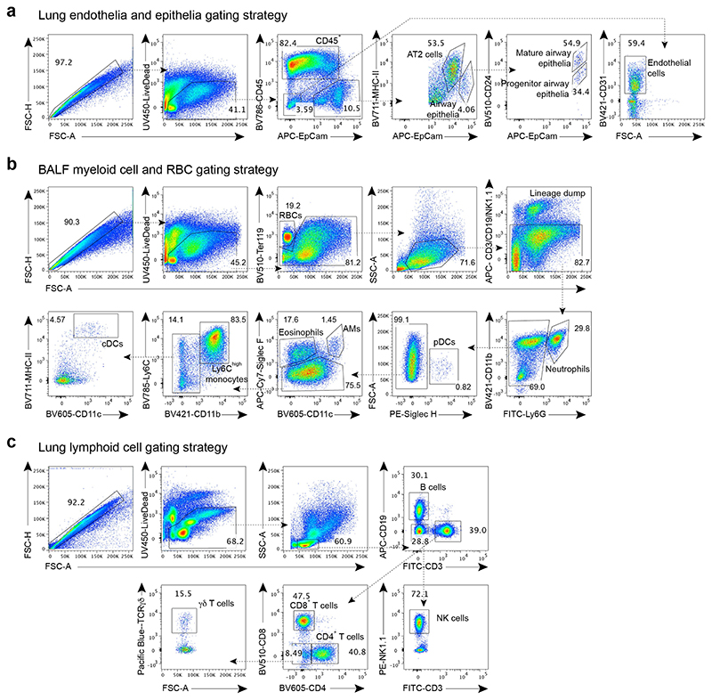 Extended Data Fig. 1