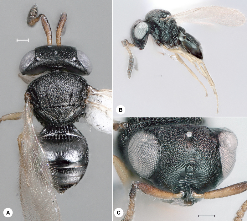 Figure 12.