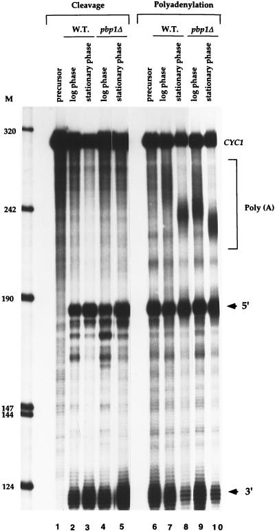 FIG. 8