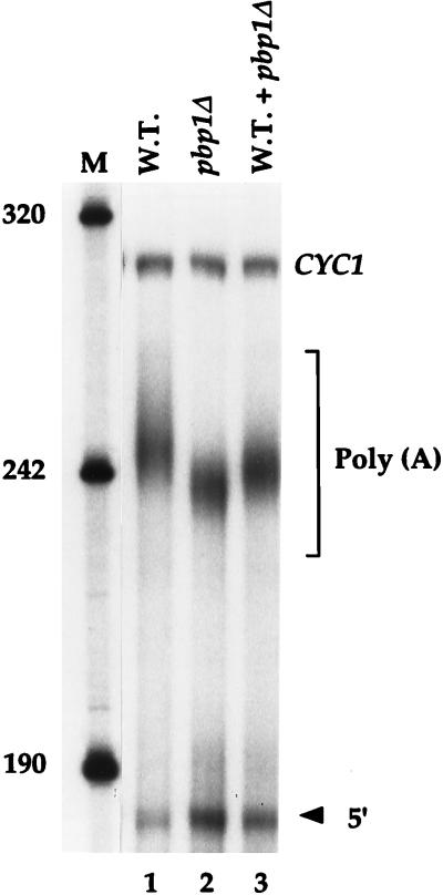 FIG. 9