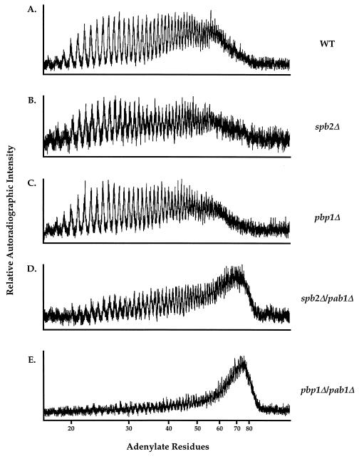 FIG. 6