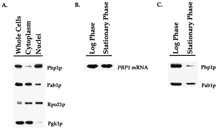 FIG. 7