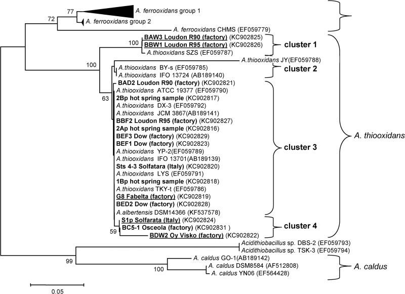 Fig 1