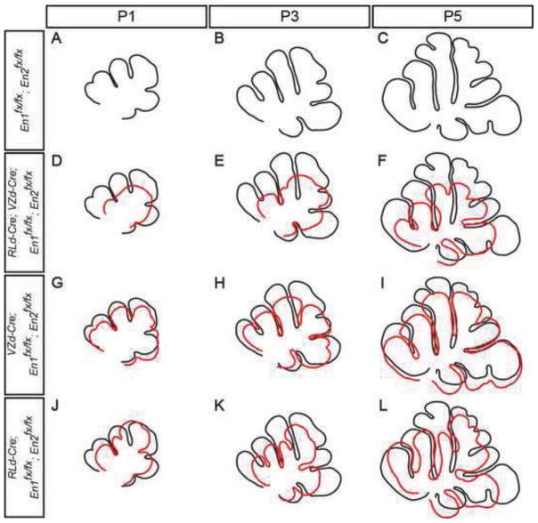 Fig. 8