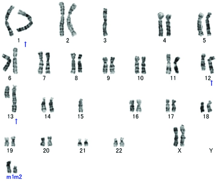 Figure 3.