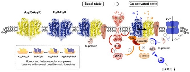 Figure 2.