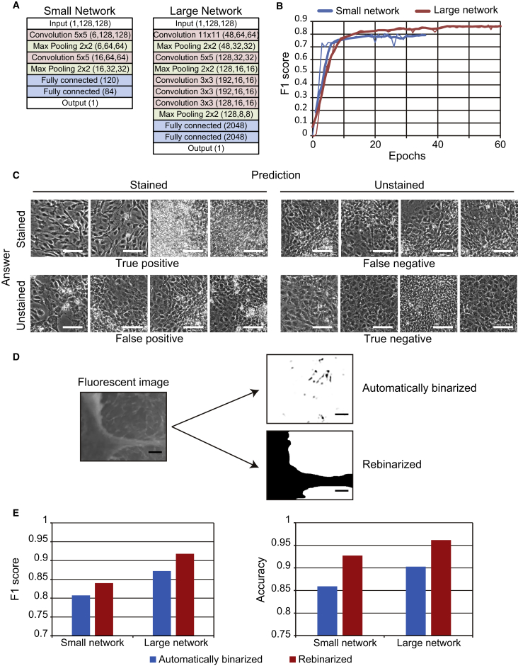 Figure 3