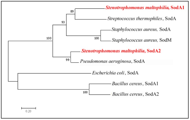 Figure 6