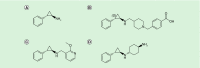 <b>Figure 2.</b>