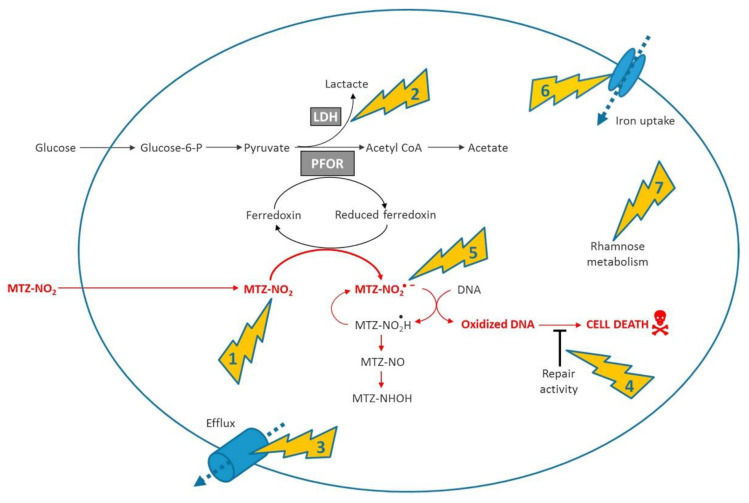 Figure 4