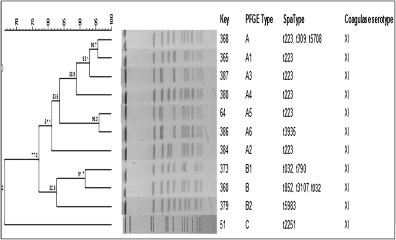 Fig. 1