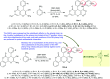 Scheme 22
