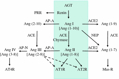 Fig. 1