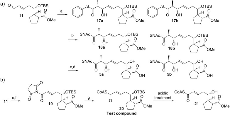 Scheme 3