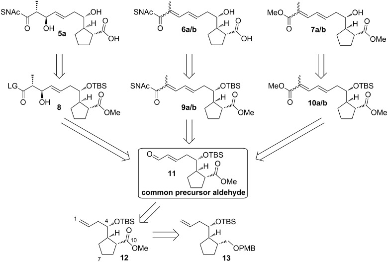 Scheme 1