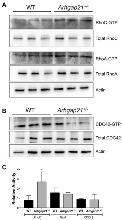 Fig. 5